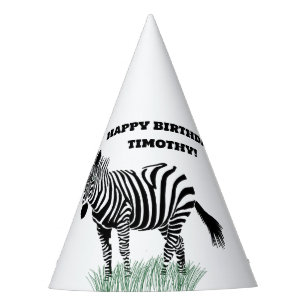Black and White Zebra in the Grass Party Hat