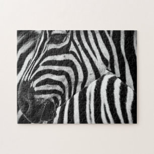 Black and White Zebra Jigsaw Puzzle