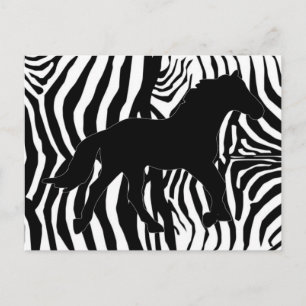 Black And White Zebra Stripes Postcard