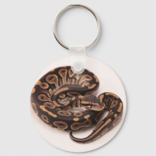 Black and Yellow Ball Python Key Ring