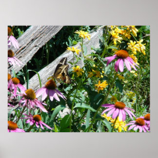 Black and Yellow Butterfly and Daisies Poster