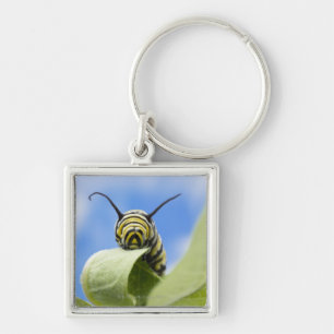 Black and yellow caterpillar key ring