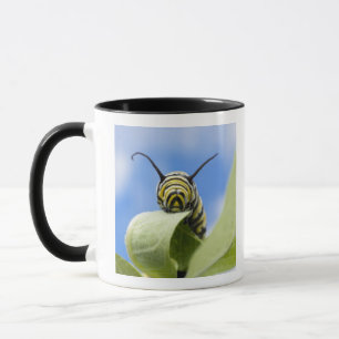 Black and yellow caterpillar mug