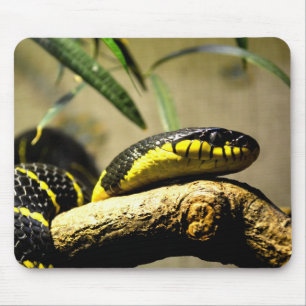 Black and yellow snake mouse mat