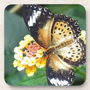 Black and Yellow Spotted Butterfly Coaster