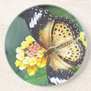Black and Yellow Spotted Butterfly Coaster