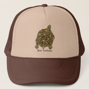 Black and Yellow Star Tortoise Painting Hats