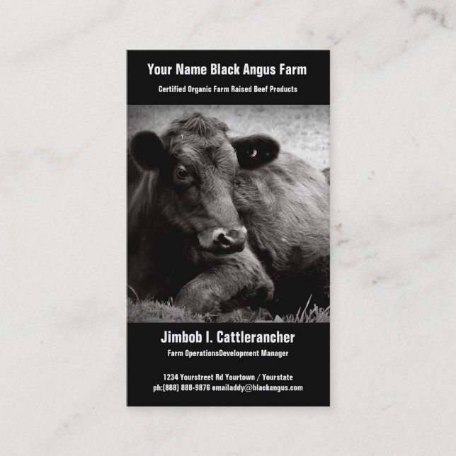 Black Angus  Beef Ranch or Farm Business Card (Front)