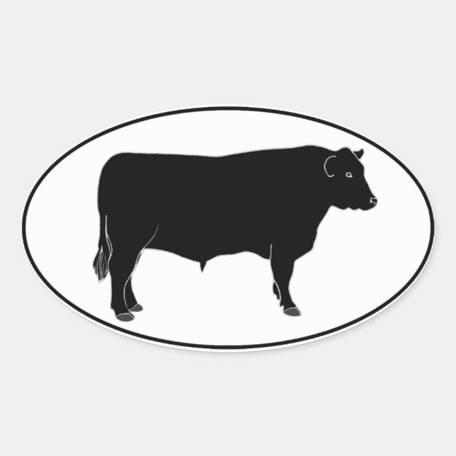 Black Angus Bull Oval Sticker (Front)