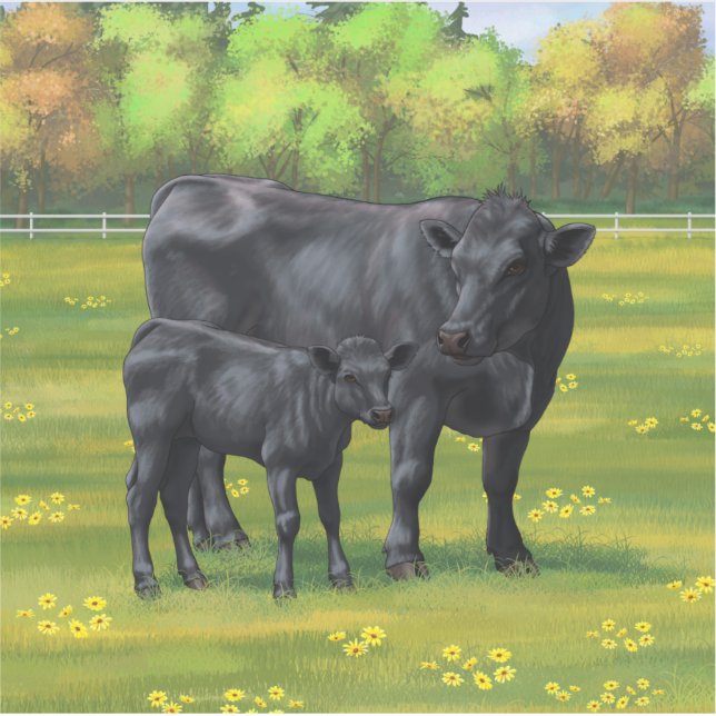 Black Angus Cow & Cute Calf in Summer Pasture (Front)