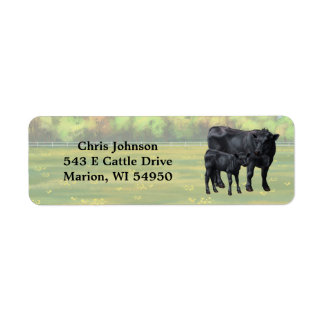 Black Angus Cow & Cute Calf in Summer Pasture