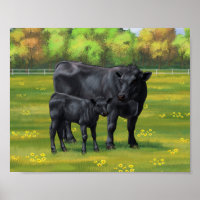 Black Angus Cow & Cute Calf in Summer Pasture