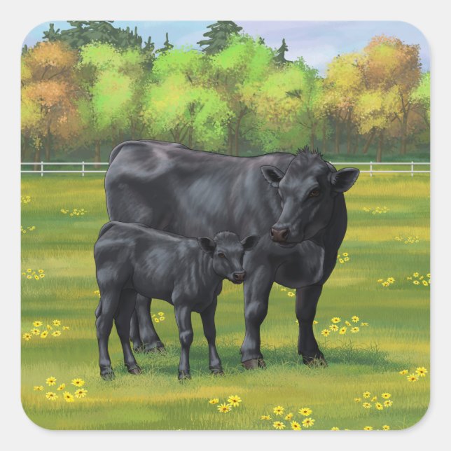 Black Angus Cow & Cute Calf in Summer Pasture Square Sticker (Front)