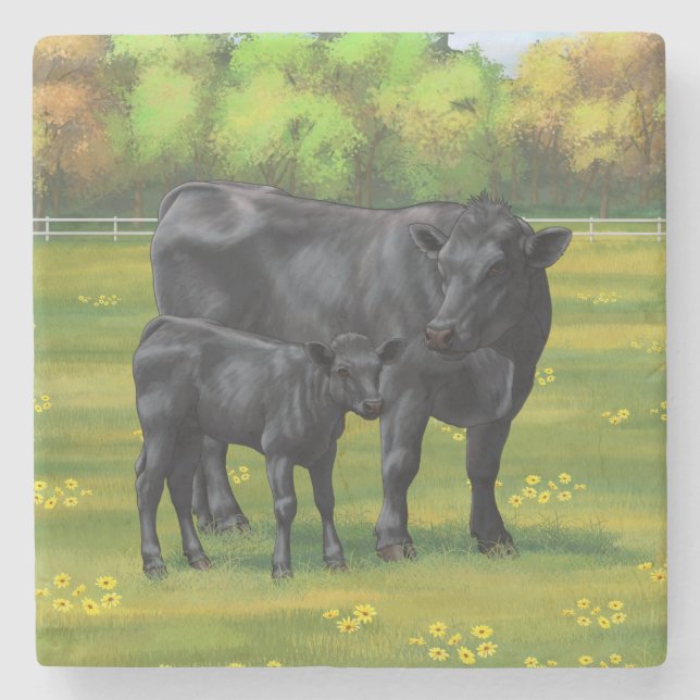 Black Angus Cow & Cute Calf in Summer Pasture Stone Coaster (Front)