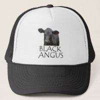 Black Angus Cow