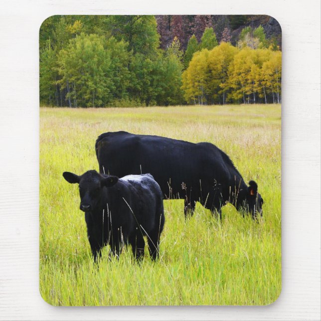 Black Angus Pair in Field Mouse Mat (Front)