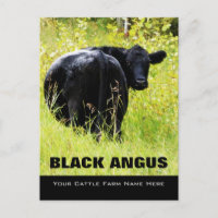 Black Angus Steer -  Add Your Cattle Ranch Name