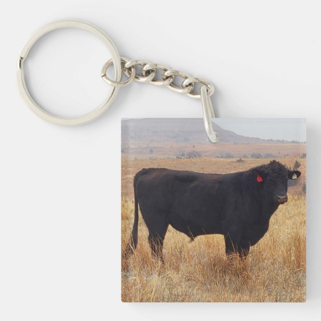Black Angus Steer Grazing with its Herd Key Ring (Front)