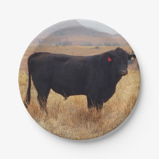 Black Angus Steer Grazing with its Herd Paper Plate