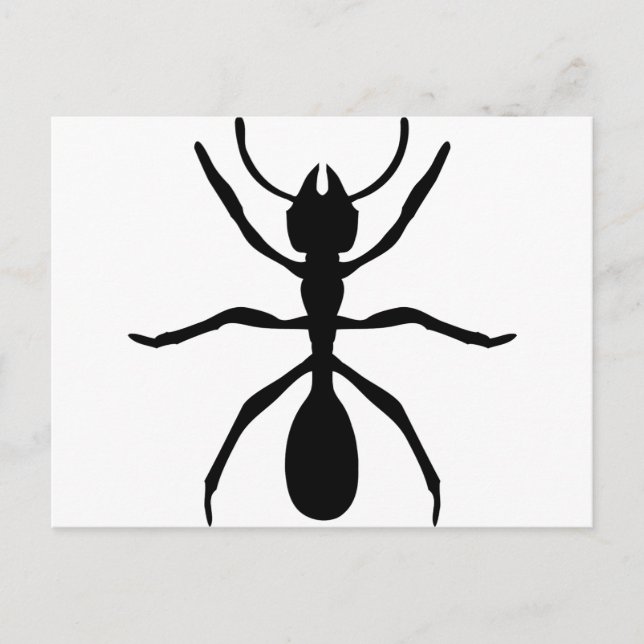 black ant postcard (Front)