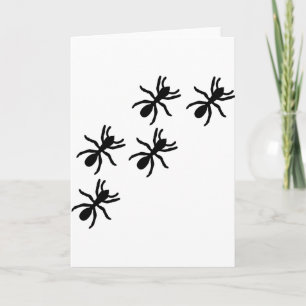 black ant trail card