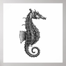 Black Antique Seahorse Scientific Illustration