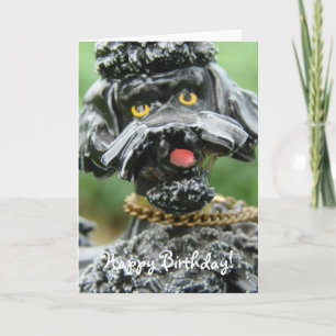 Black Antitque Poodle, Happy Birthday! Card
