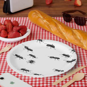 Black Ants on White Paper Plate