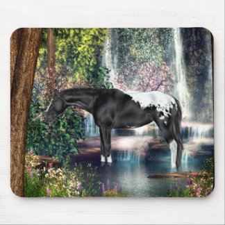 Black Appaloosa Horse Waterfall Background Mouse Mat