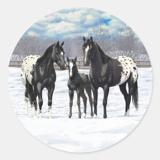 Black Appaloosa Horses In Snow Classic Round Sticker (Front)