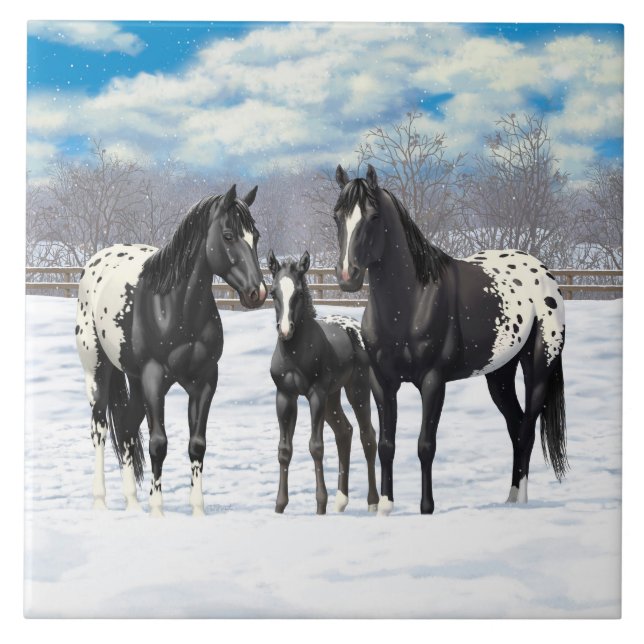 Black Appaloosa Horses In Snow Tile (Front)