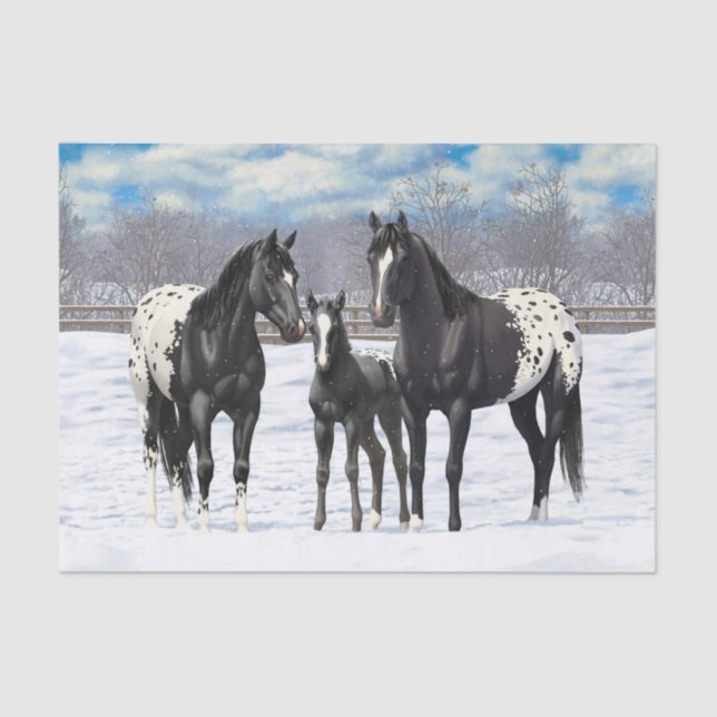 Black Appaloosa Horses In Snow Tissue Paper (Front)