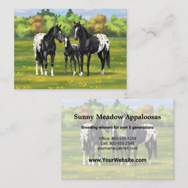 Black Appaloosa Horses In Summer Pasture Business Card (Front/Back)