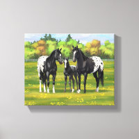 Black Appaloosa Horses In Summer Pasture