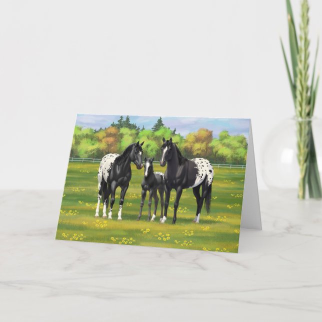 Black Appaloosa Horses In Summer Pasture Card (Front)