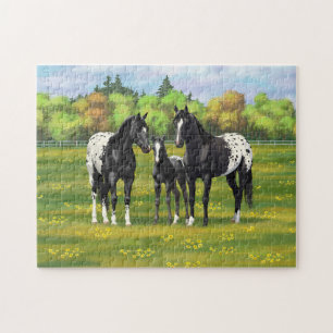 Black Appaloosa Horses In Summer Pasture Jigsaw Puzzle