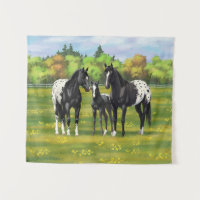 Black Appaloosa Horses In Summer Pasture