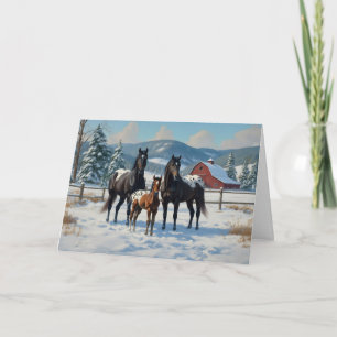 Black Appaloosa Horses on a Farm in Winter Holiday Card