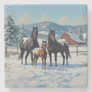 Black Appaloosa Horses on a Farm in Winter Stone Coaster