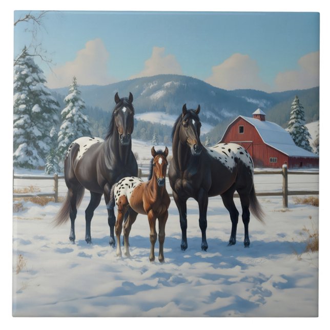 Black Appaloosa Horses on a Farm in Winter Tile (Front)