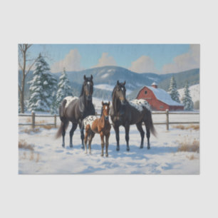 Black Appaloosa Horses on a Farm in Winter Tissue Paper