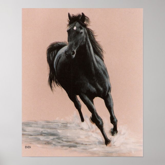 Black Arabian Horse print (Front)