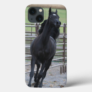 Black Arabian Prancing iPhone 13 Case