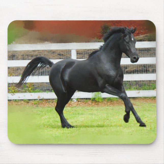 Black Arabian Stallion Mouse Mat (Front)