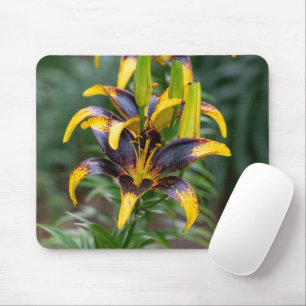 Black Asiatic Lily, Dark Floral Photography Mouse Mat