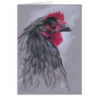 Black Australorp Hen