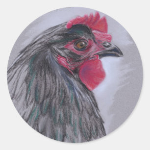 Black Australorp Hen Classic Round Sticker
