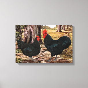 Black Australorp Rooster and Hen in Wooded Setting Canvas Print