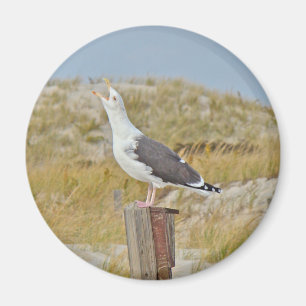 Black Backed Gull Seagull Series Magnet