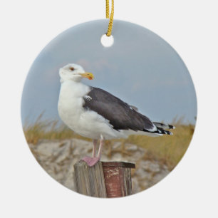 Black Backed Gull Shore Bird Christmas Ornament